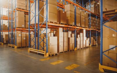 Umzugsfirma Frankfurt – stressfrei umziehen mit einem erfahrenen Umzugsunternehmen Frankfurt