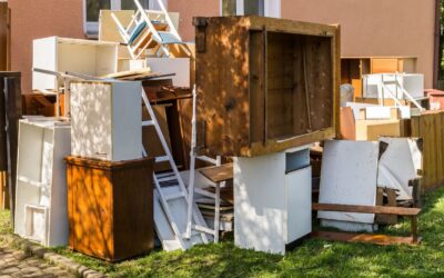 Frankfurts Umzugs-Geheimnis: Warum 90 Jahre Erfahrung den Unterschied zwischen Chaos und Komfort machen