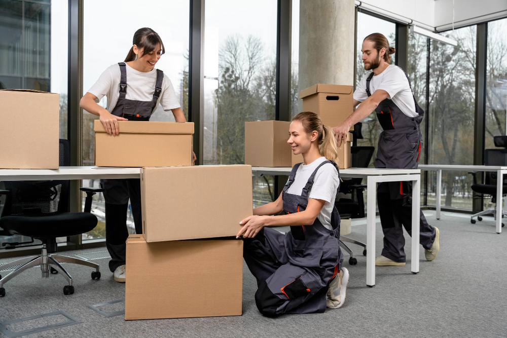 Günstiges Umzugsunternehmen Frankfurt