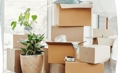 Günstiges Umzugsunternehmen Frankfurt – fair & zuverlässig