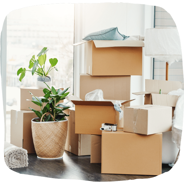 günstiges Umzugsunternehmen Frankfurt