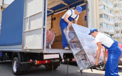 Umzugskartons vs. Plastikboxen – Was ist besser für den Umzug?