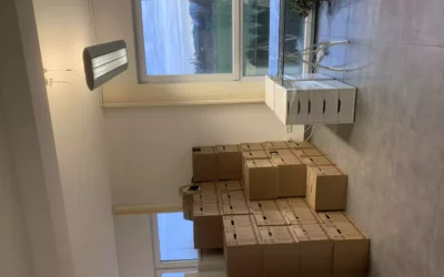 Privatumzug Frankfurt – So läuft ein Umzug mit Vollservice von A bis Z ab